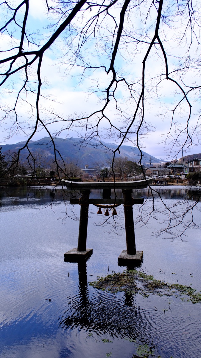 金鱗湖 | 去趣 chicTrip