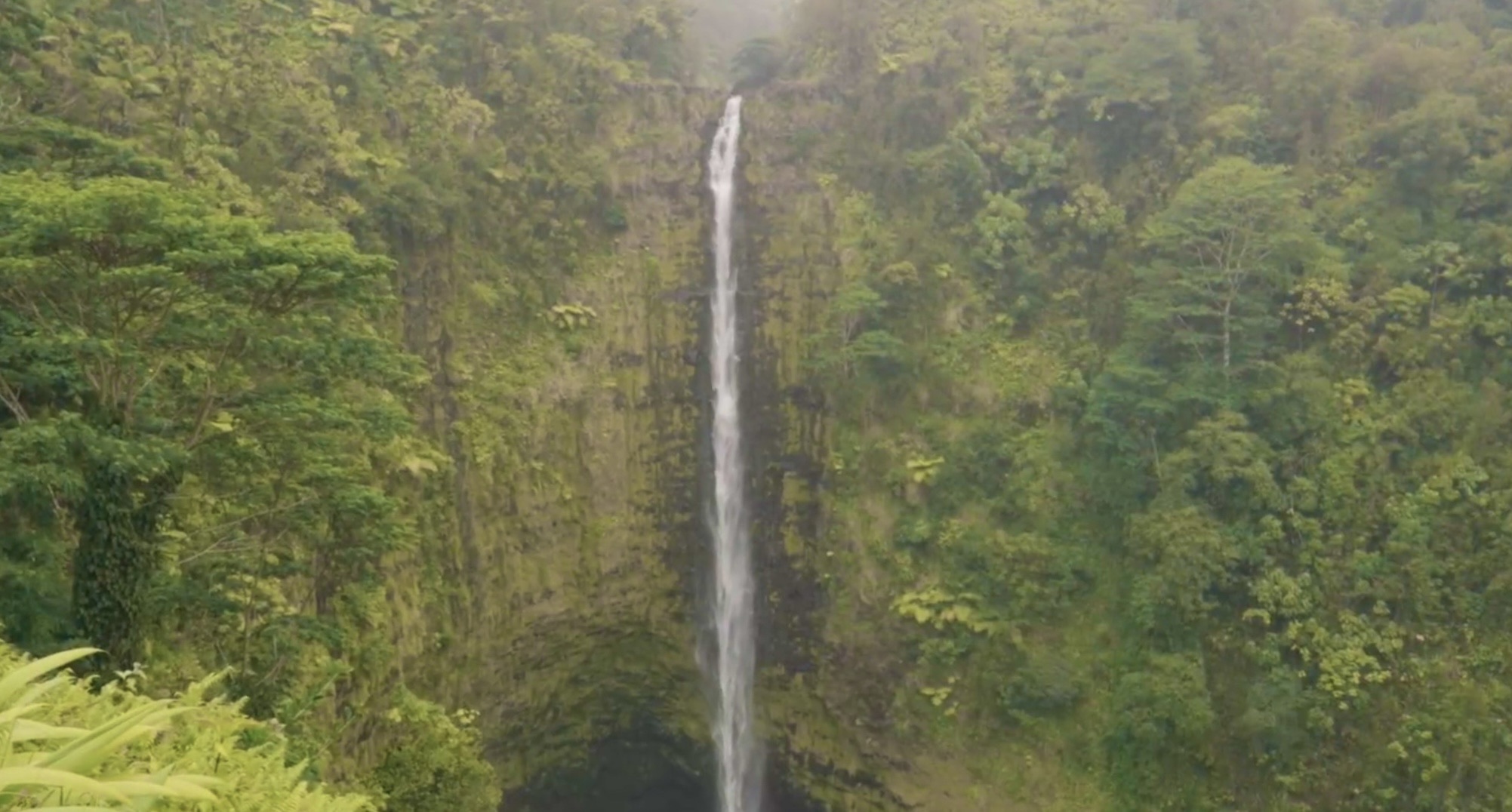 ʻAkaka Falls State Park | 去趣 chicTrip