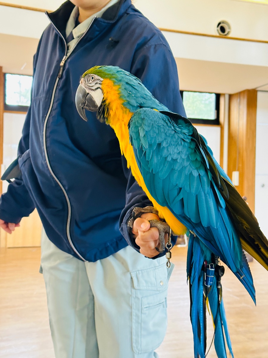 八木山動物公園 | 去趣 chicTrip