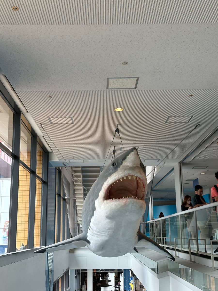 海遊館 | 去趣 chicTrip