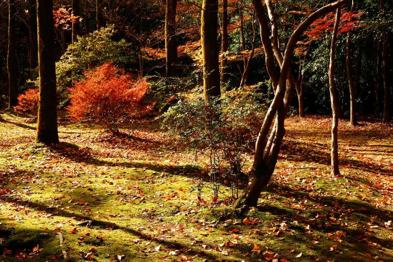 Natural and Cultural Gardens | 去趣 chicTrip