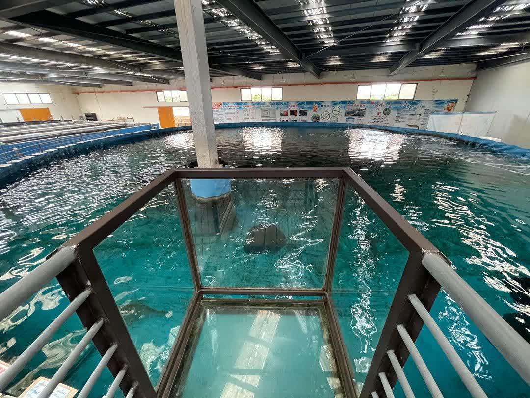 金車生技水產養殖研發中心 | 去趣 chicTrip