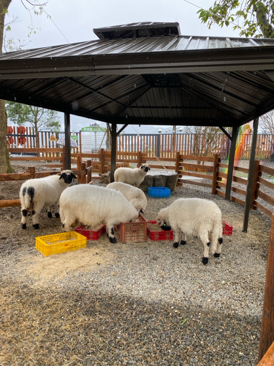 鹿芝谷生態景觀園區【試營運】 | 去趣 chicTrip