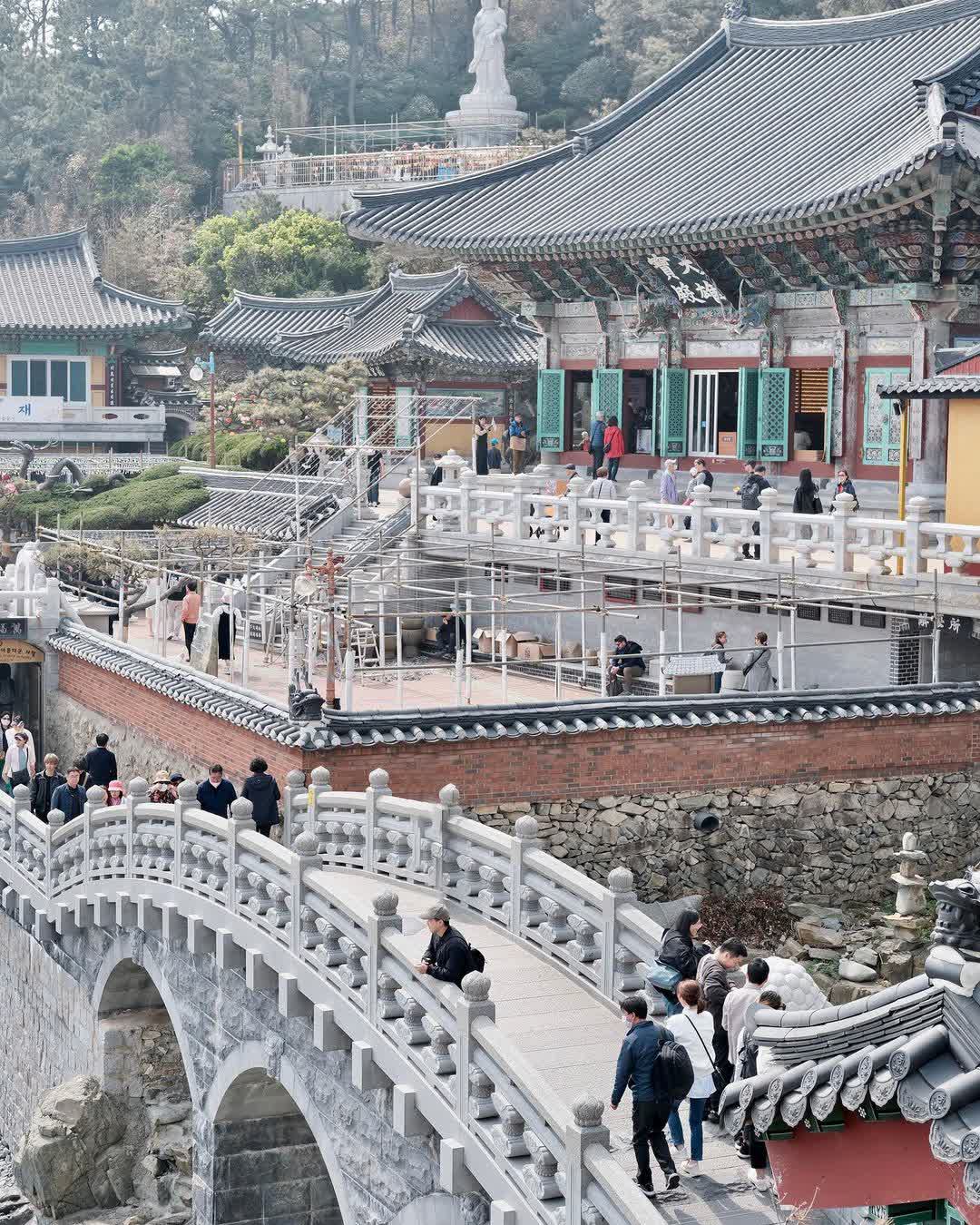 海東龍宮寺 | 去趣 chicTrip