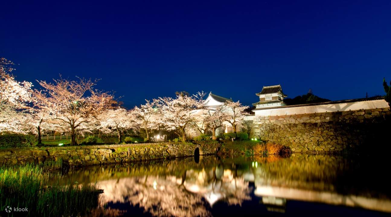 舞鶴公園 | 去趣 chicTrip