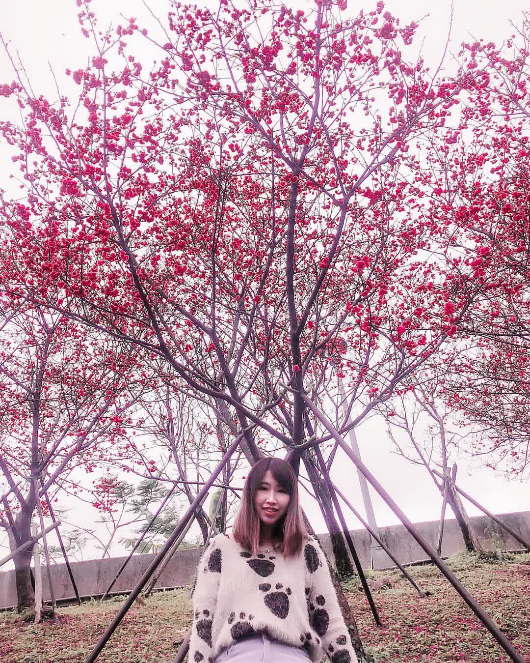 樂活公園 | 去趣 chicTrip