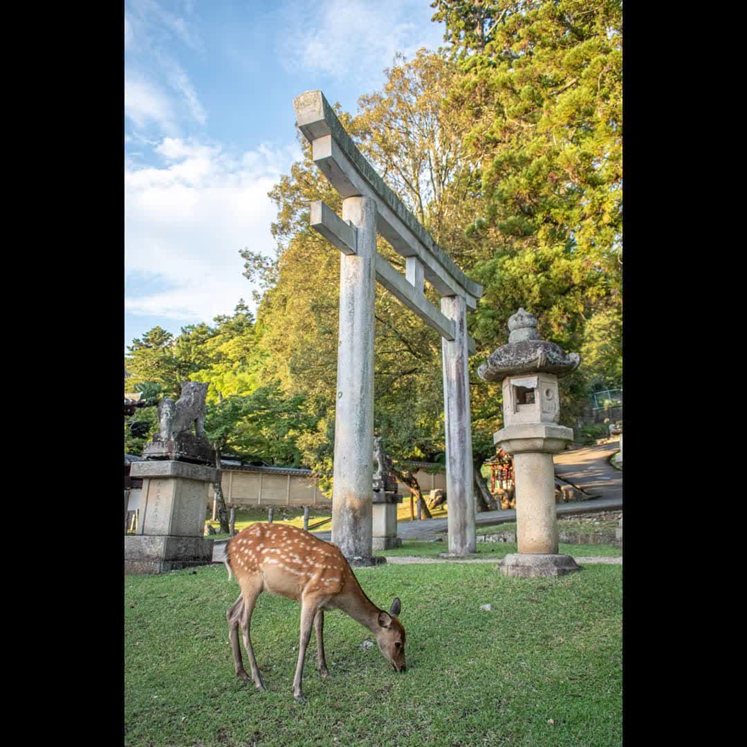 東大寺二月堂 | 去趣 chicTrip