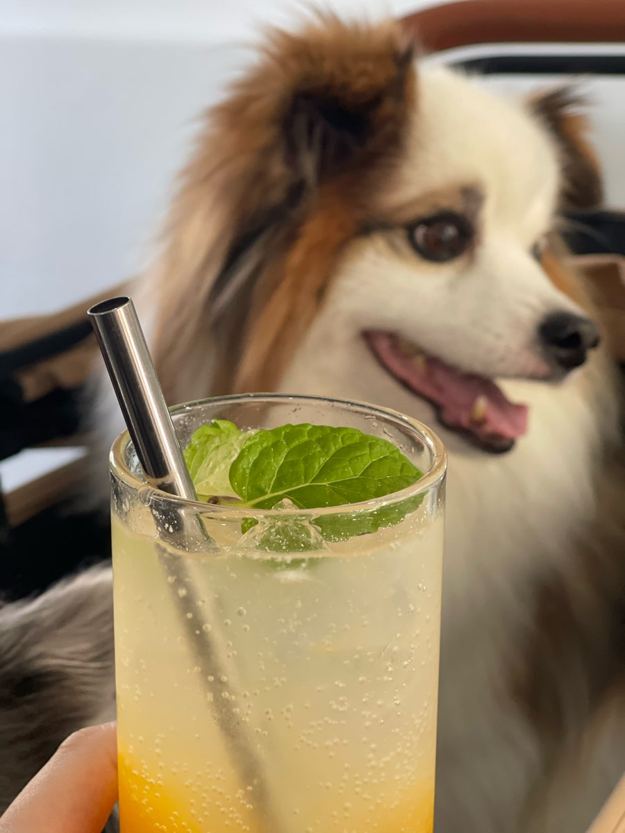 海蜜Hi-Mee（ 特定公休） | 去趣 chicTrip