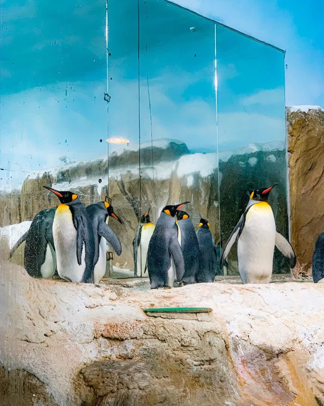 臺北市立動物園 | 去趣 chicTrip