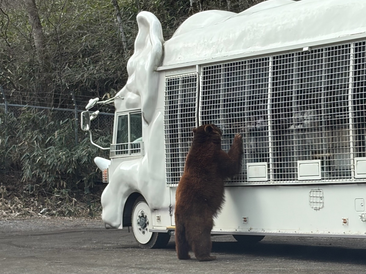 富士野生動物園 | 去趣 chicTrip