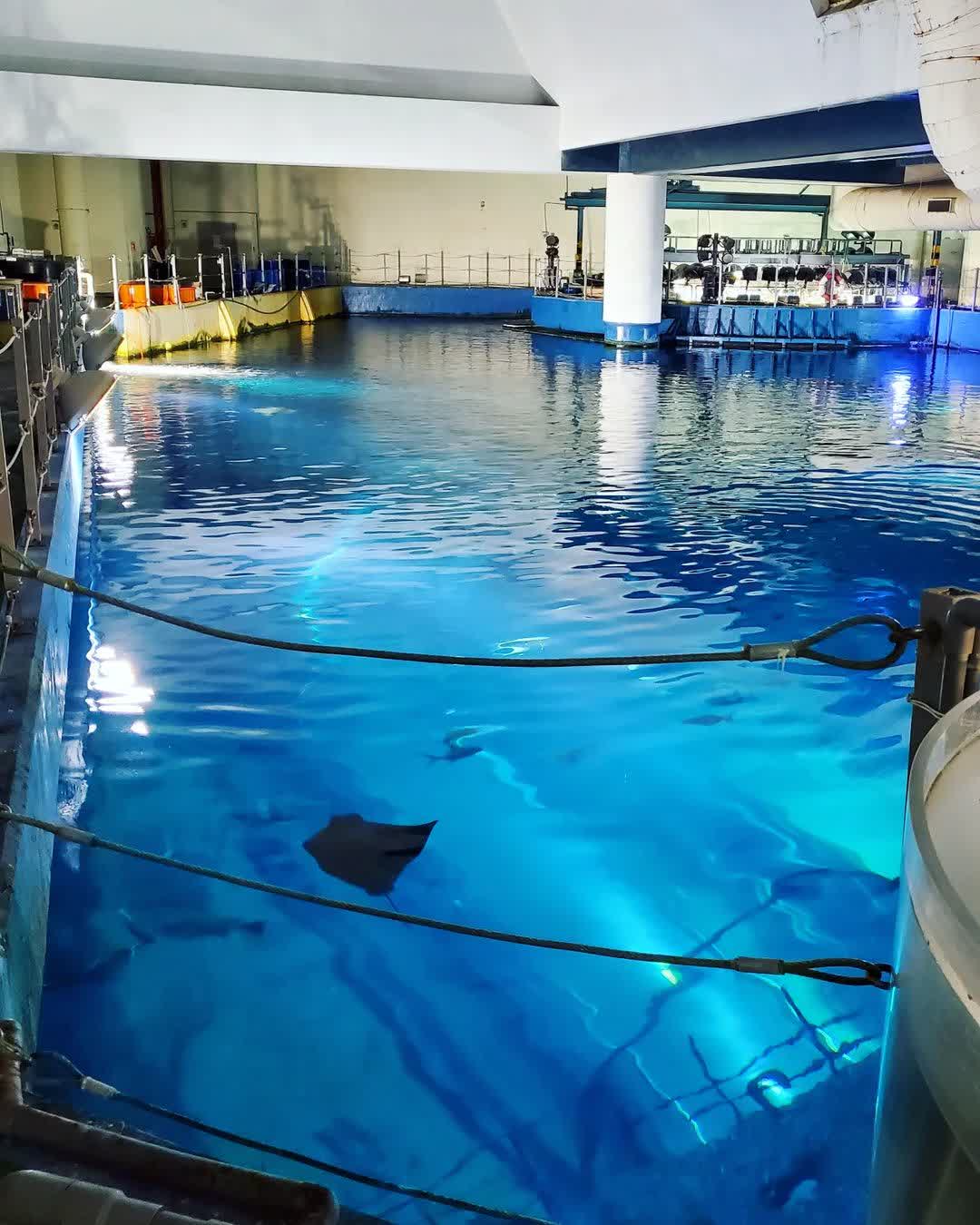 國立海洋生物博物館 | 去趣 chicTrip