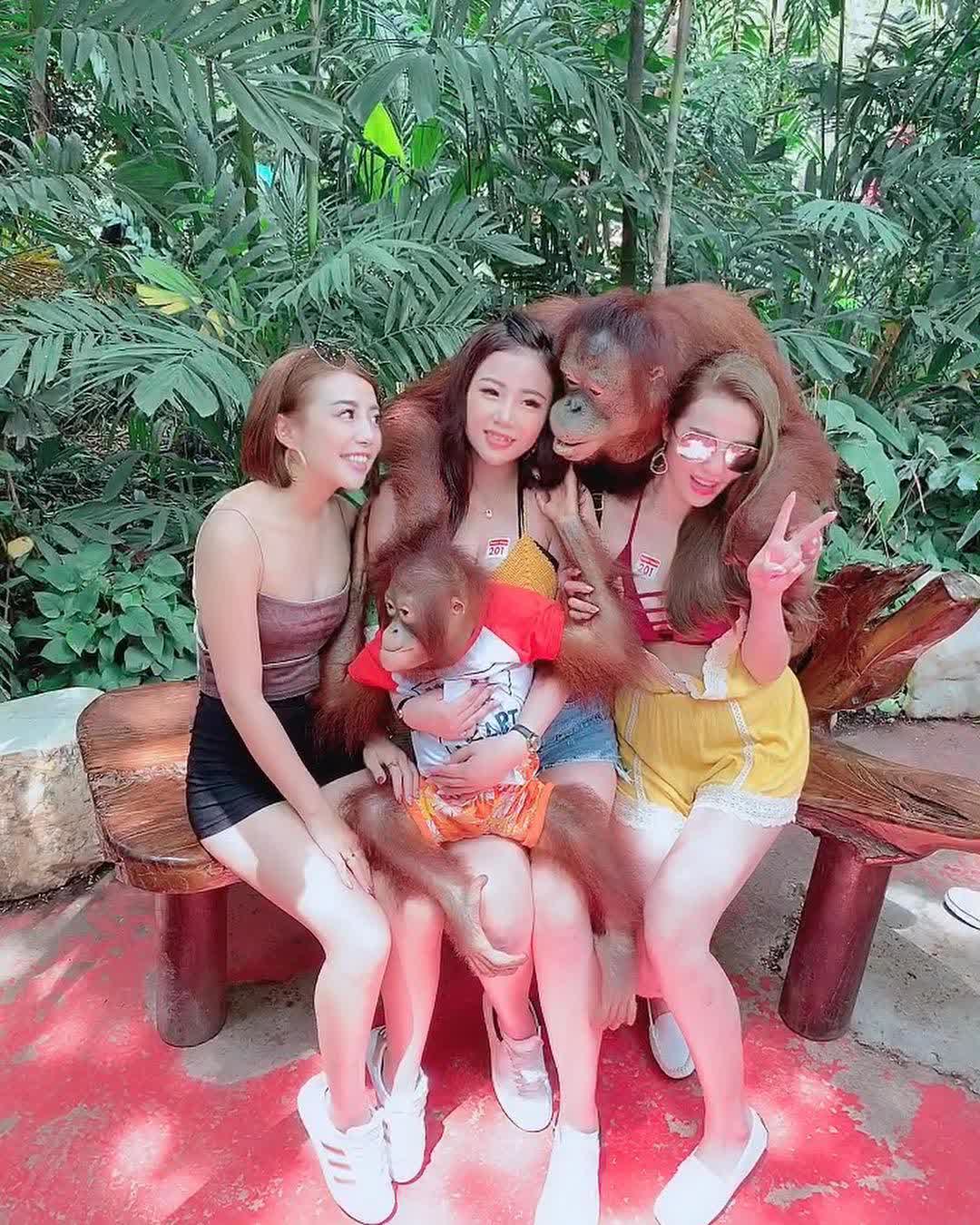 曼谷Safari World野生動物園 | 去趣 chicTrip