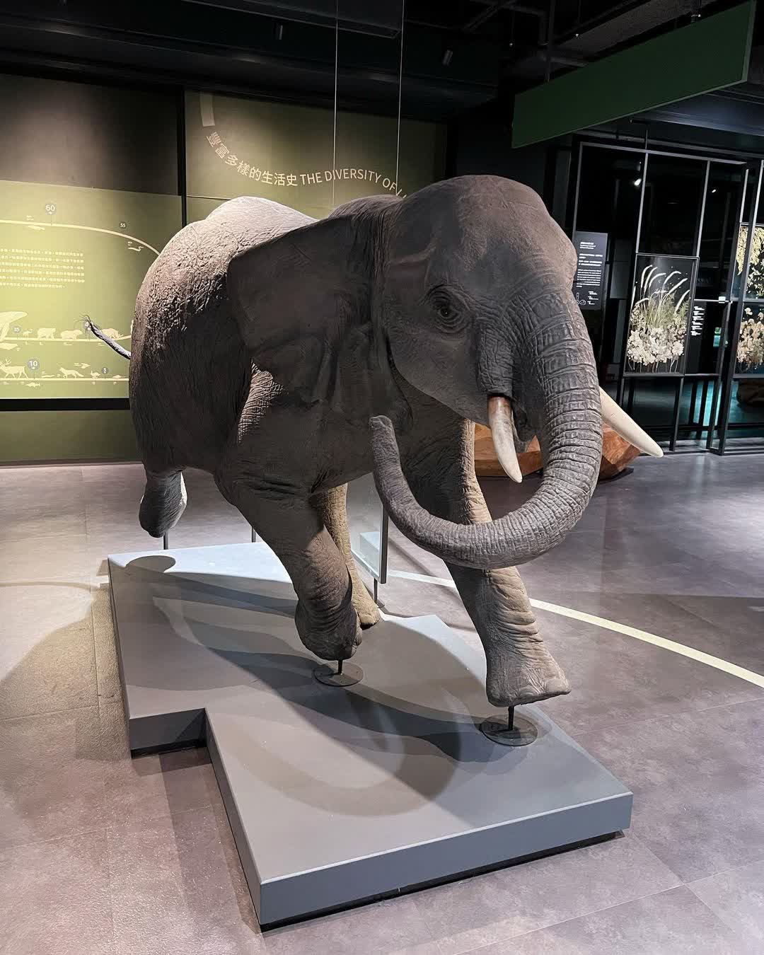 國立臺灣科學教育館 | 去趣 chicTrip