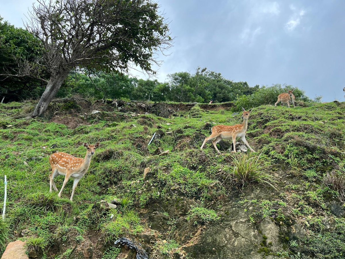 大坵島 | 去趣 chicTrip