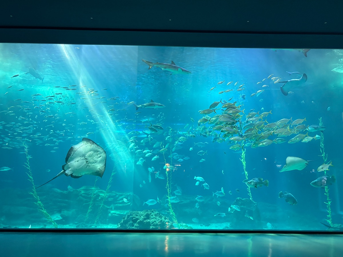 濟洲水上星球 | 去趣 chicTrip