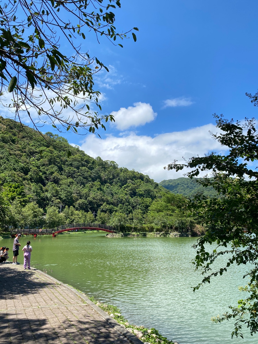 望龍埤花田村湖畔咖啡 | 去趣 chicTrip
