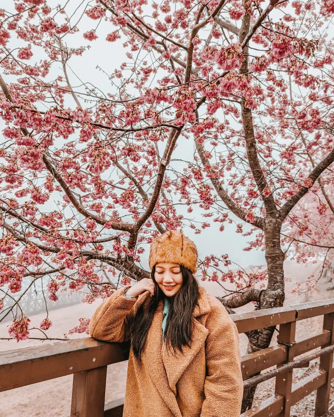 清境農場青青草原 | 去趣 chicTrip