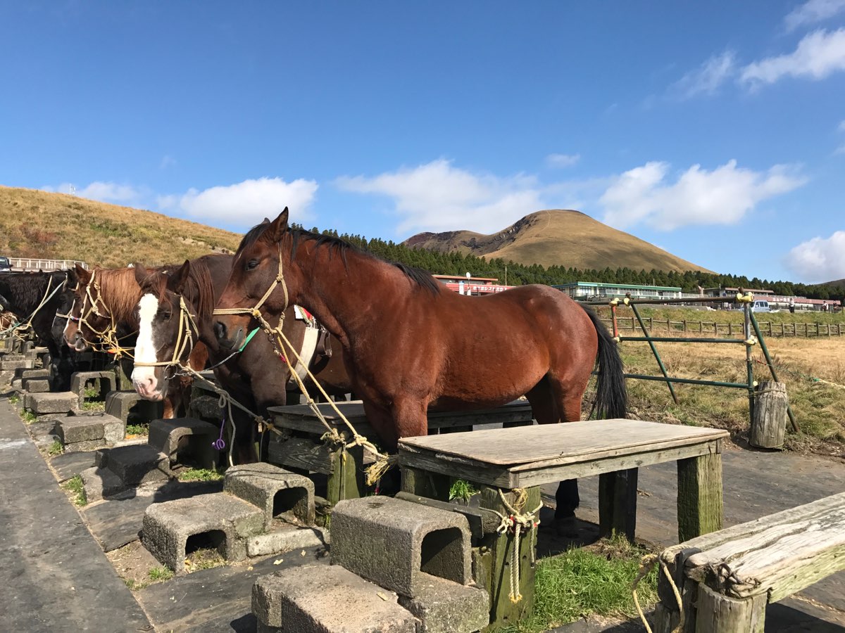 草千里展望所 | 去趣 chicTrip