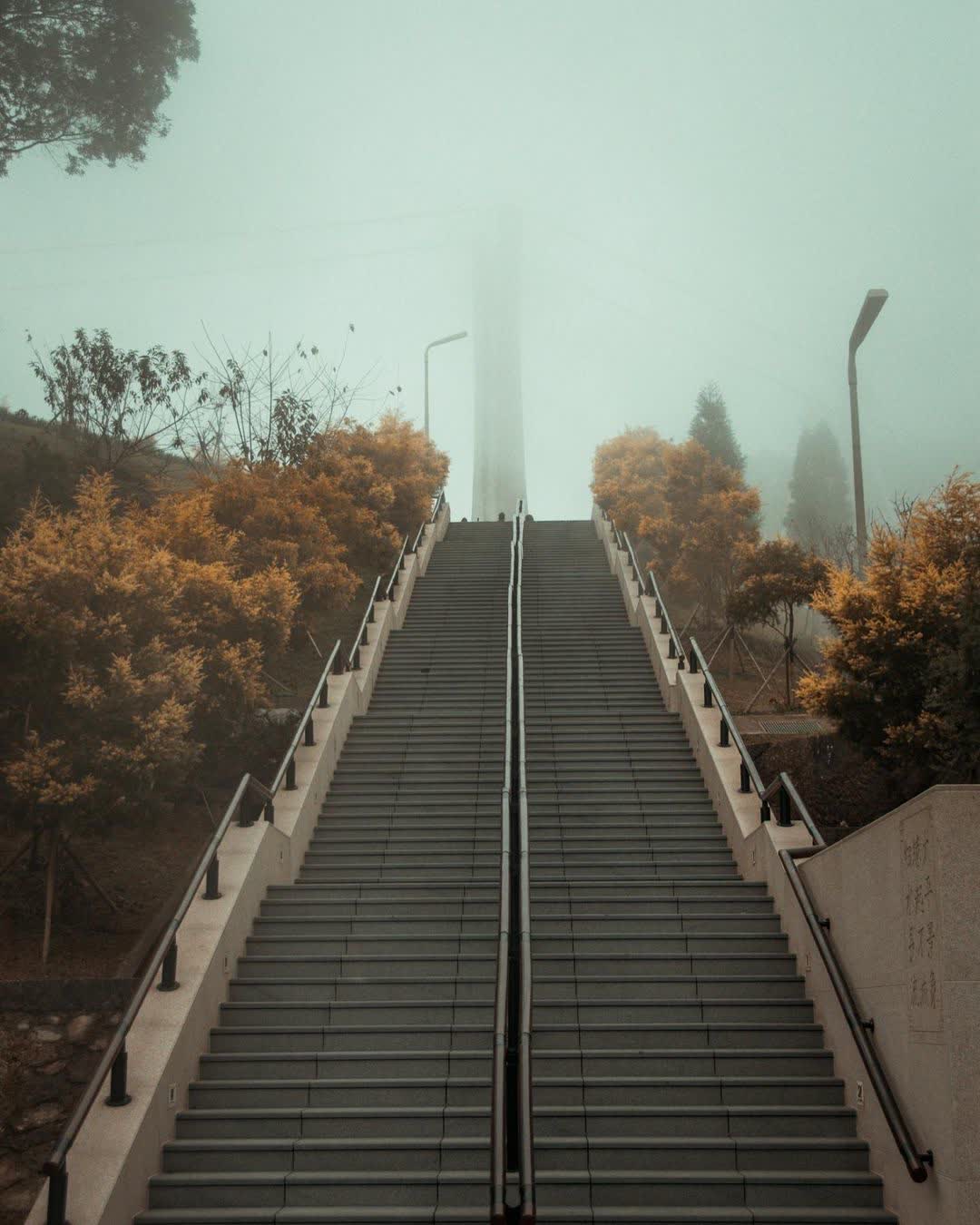 嘉義梅山太平雲梯 | 去趣 chicTrip