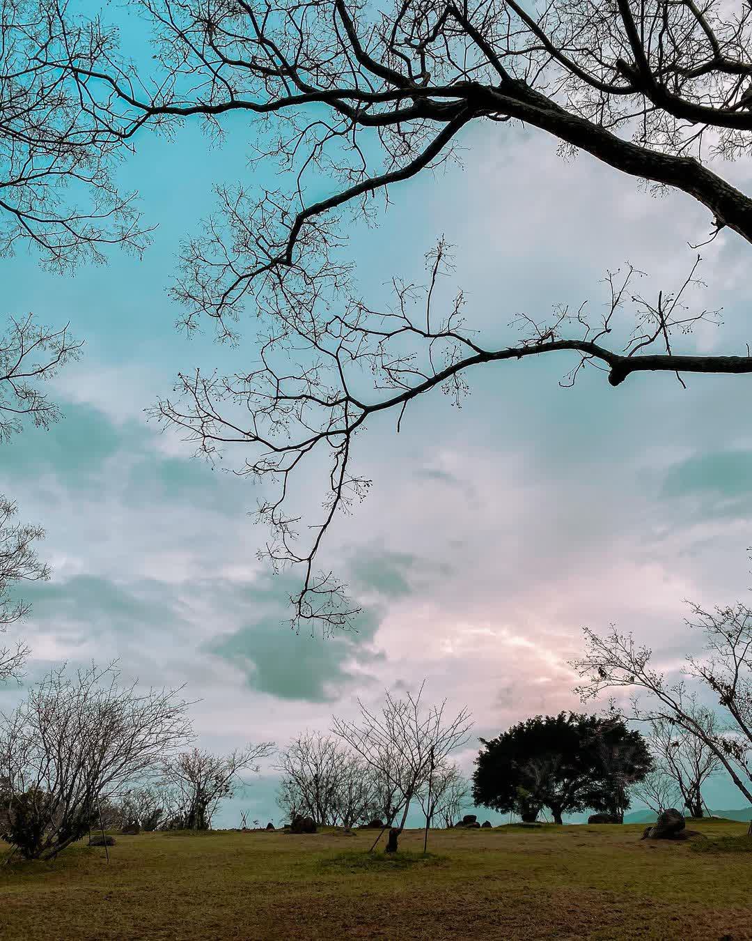 初鹿牧場 | 去趣 chicTrip