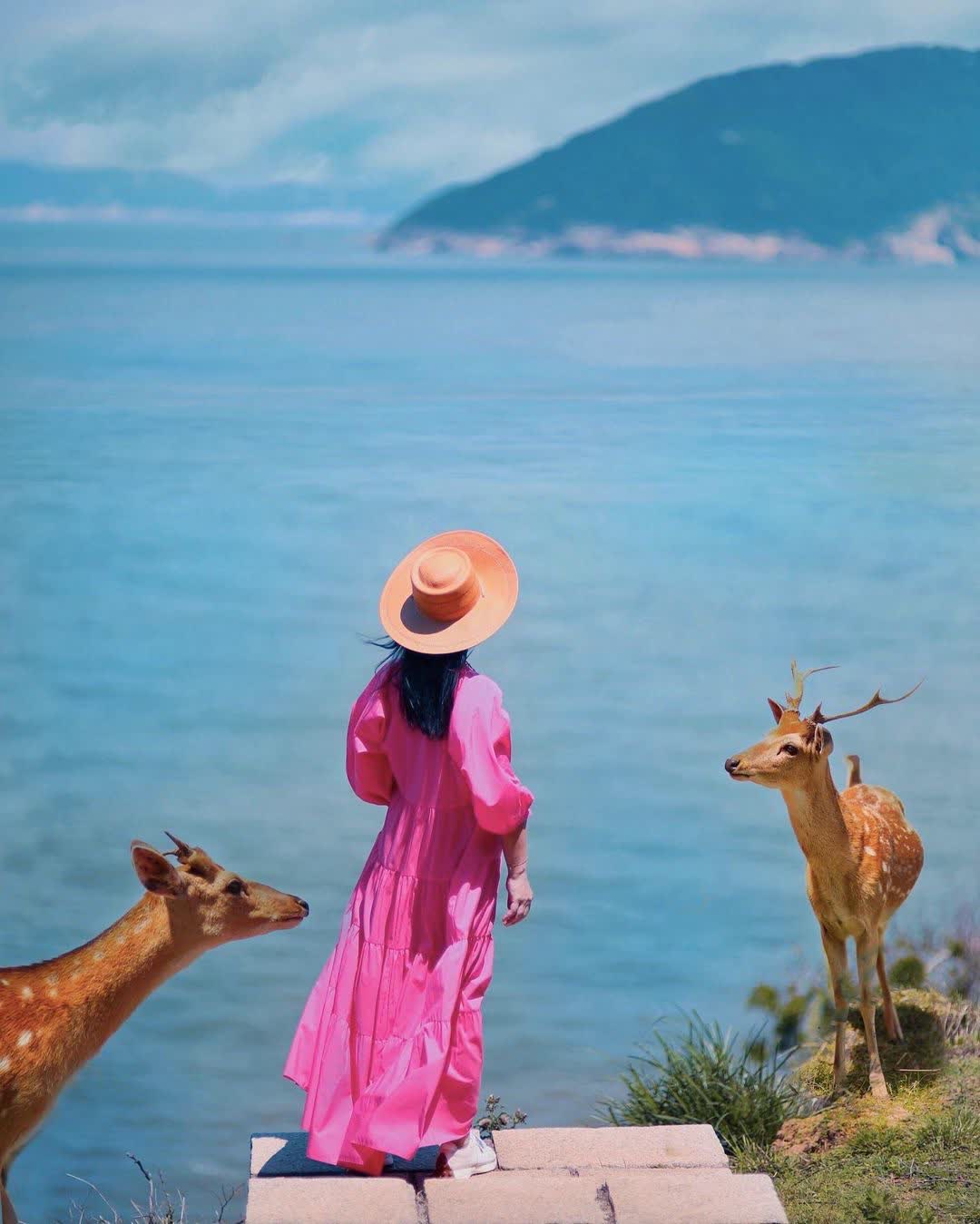 大坵島 | 去趣 chicTrip