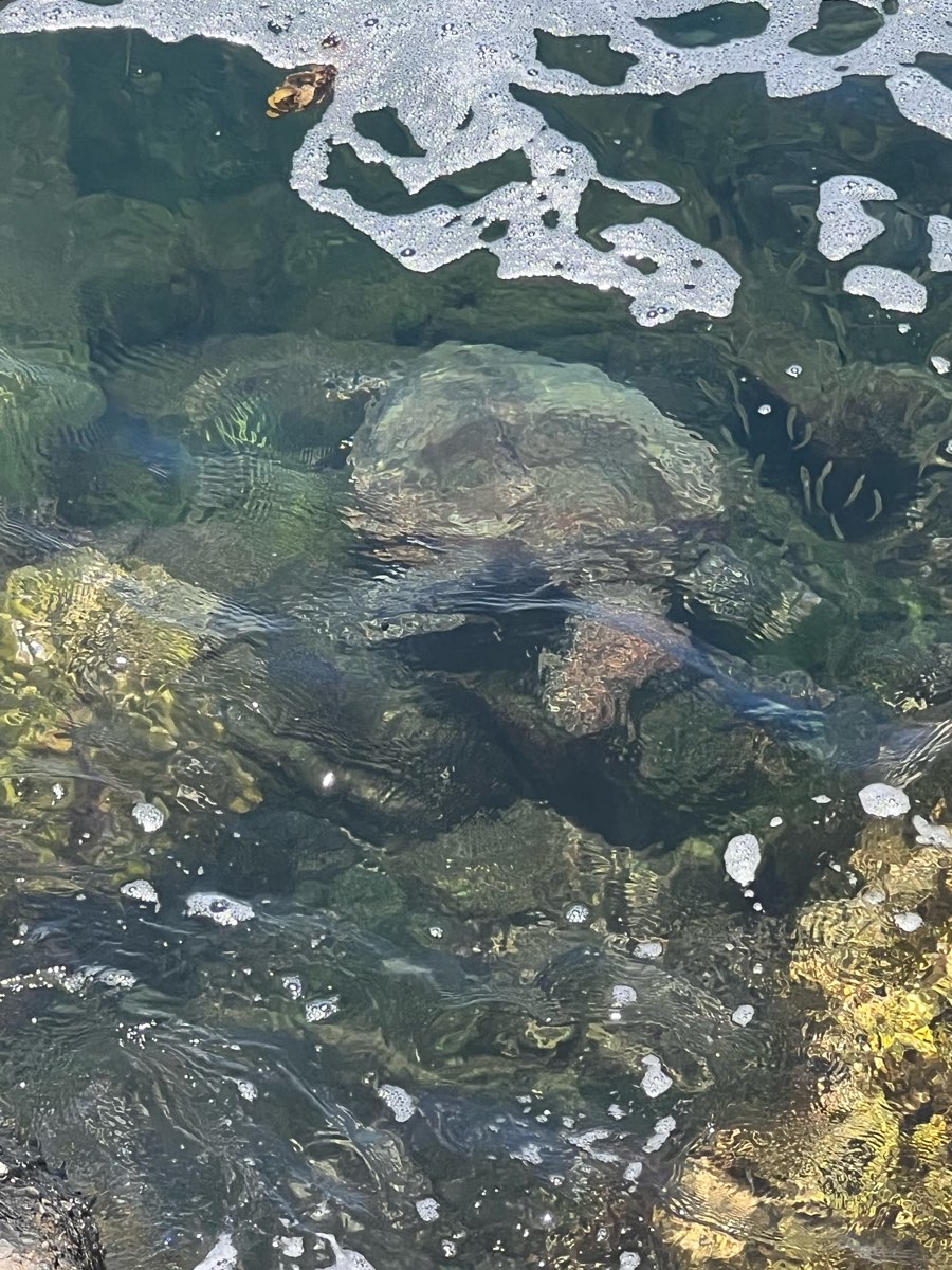 網美老木 | 去趣 chicTrip