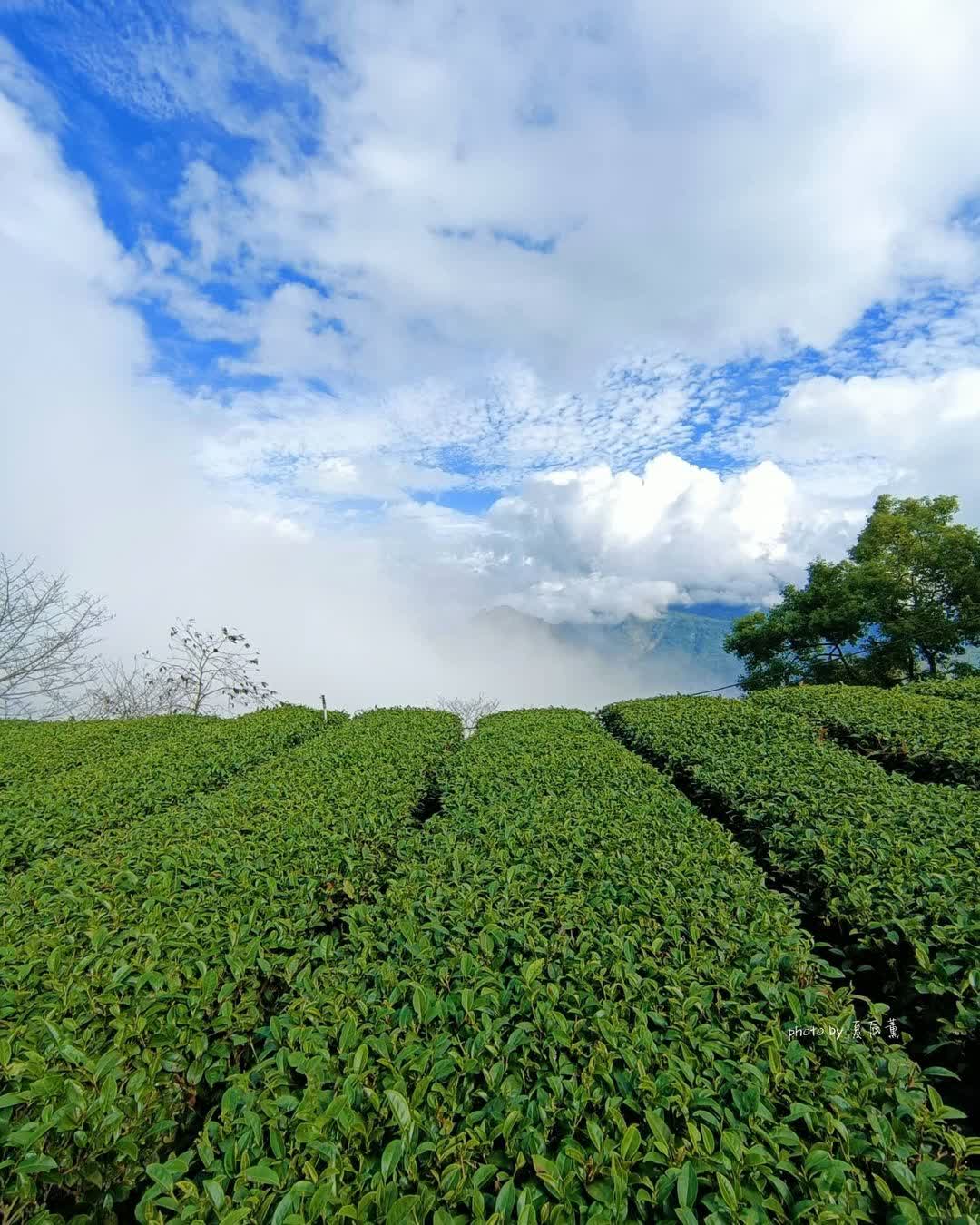 二延平步道 | 去趣 chicTrip