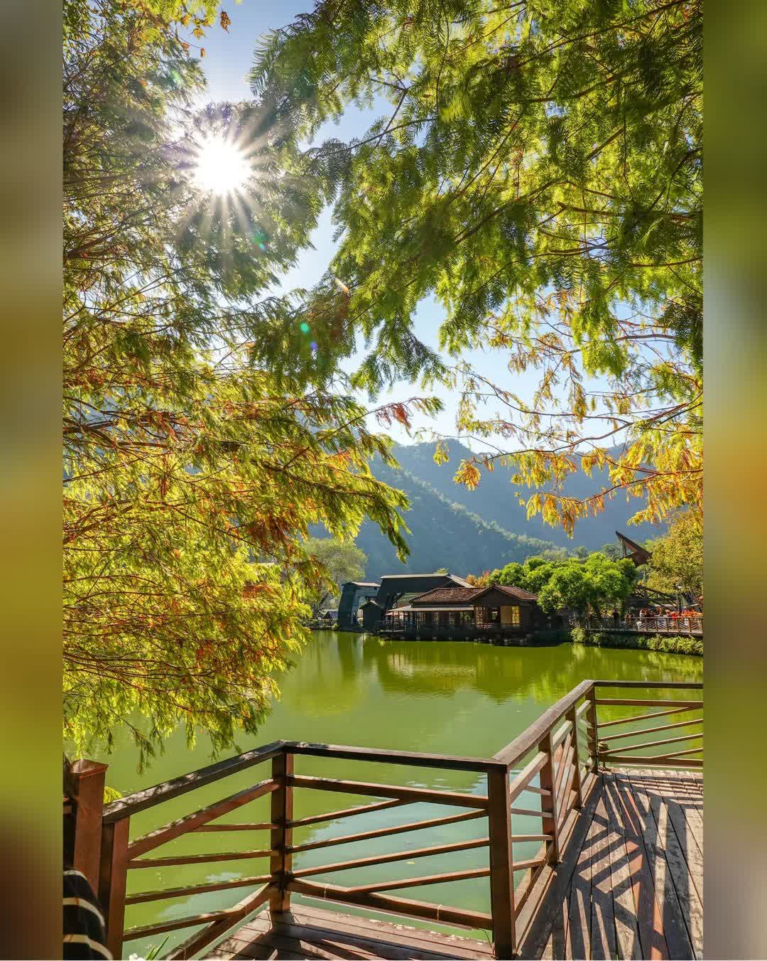 車埕木業展示館 Checheng Logging Exhibition Hall | 去趣 chicTrip