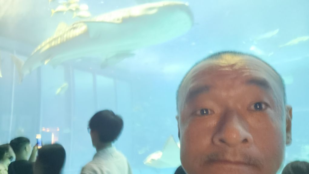 沖繩美麗海水族館 | 去趣 chicTrip