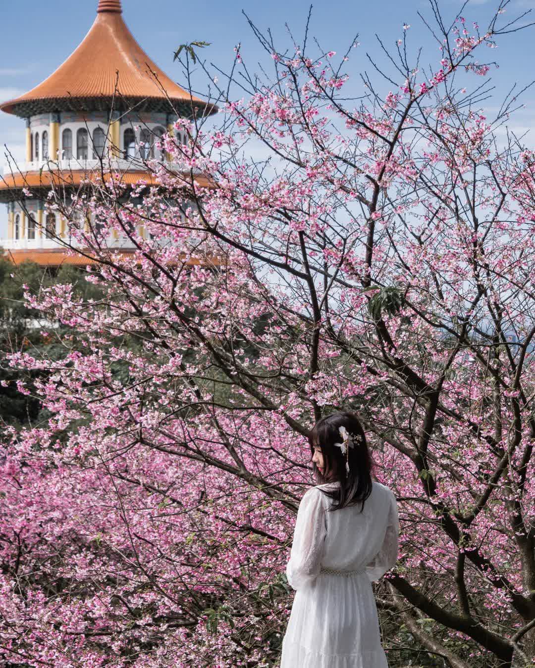 無極天元宮 | 去趣 chicTrip