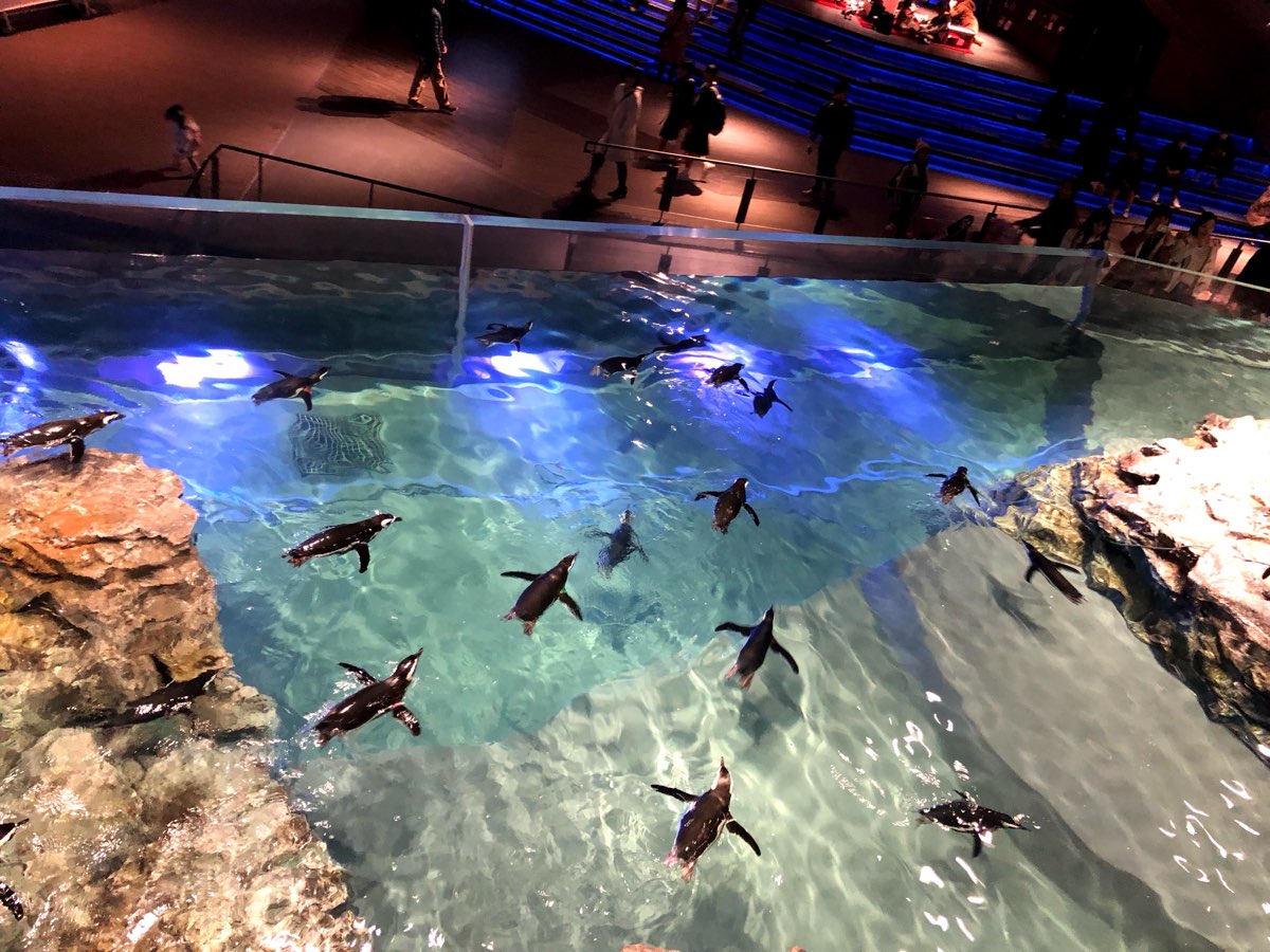 墨田水族館 | 去趣 chicTrip