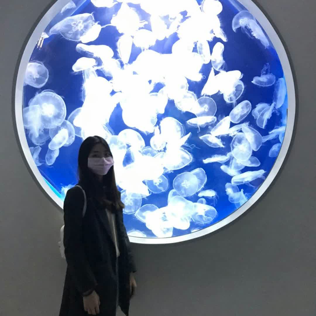 Xpark 水族館 | 去趣 chicTrip
