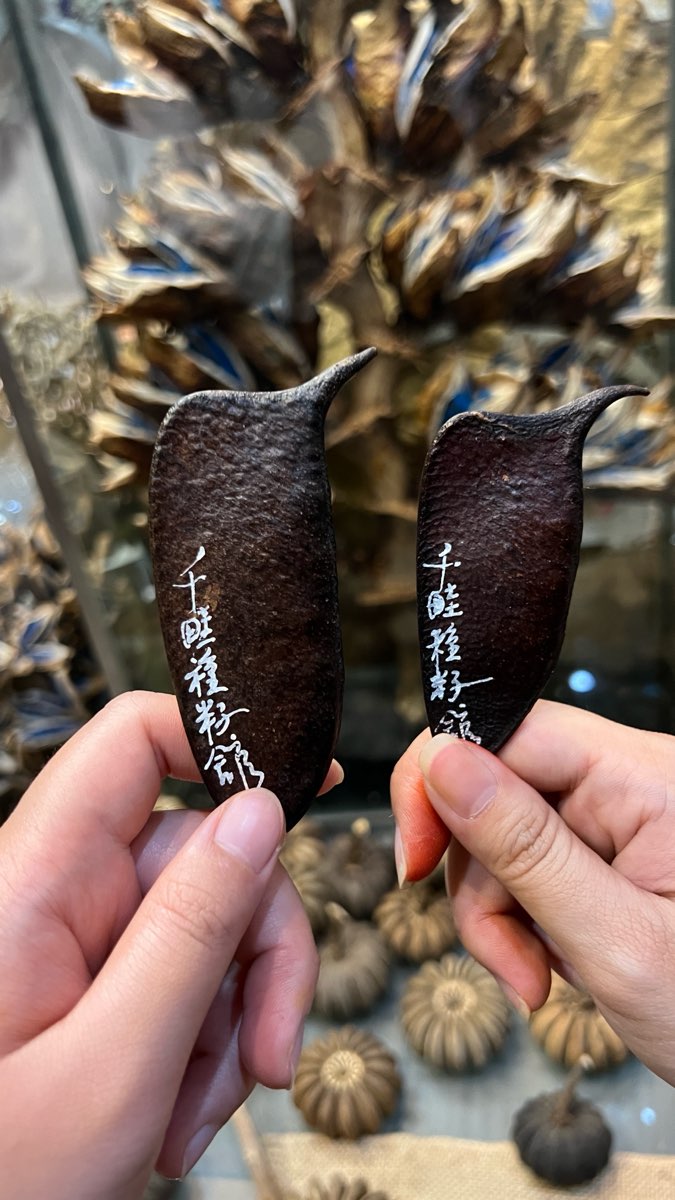 千畦種子博物館 | 去趣 chicTrip