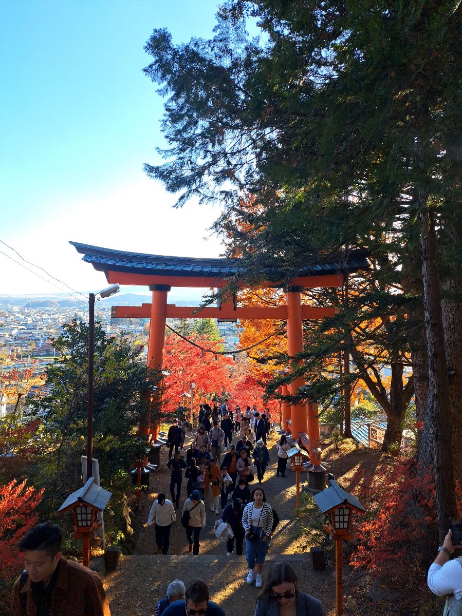 新倉山淺間公園 | 去趣 chicTrip