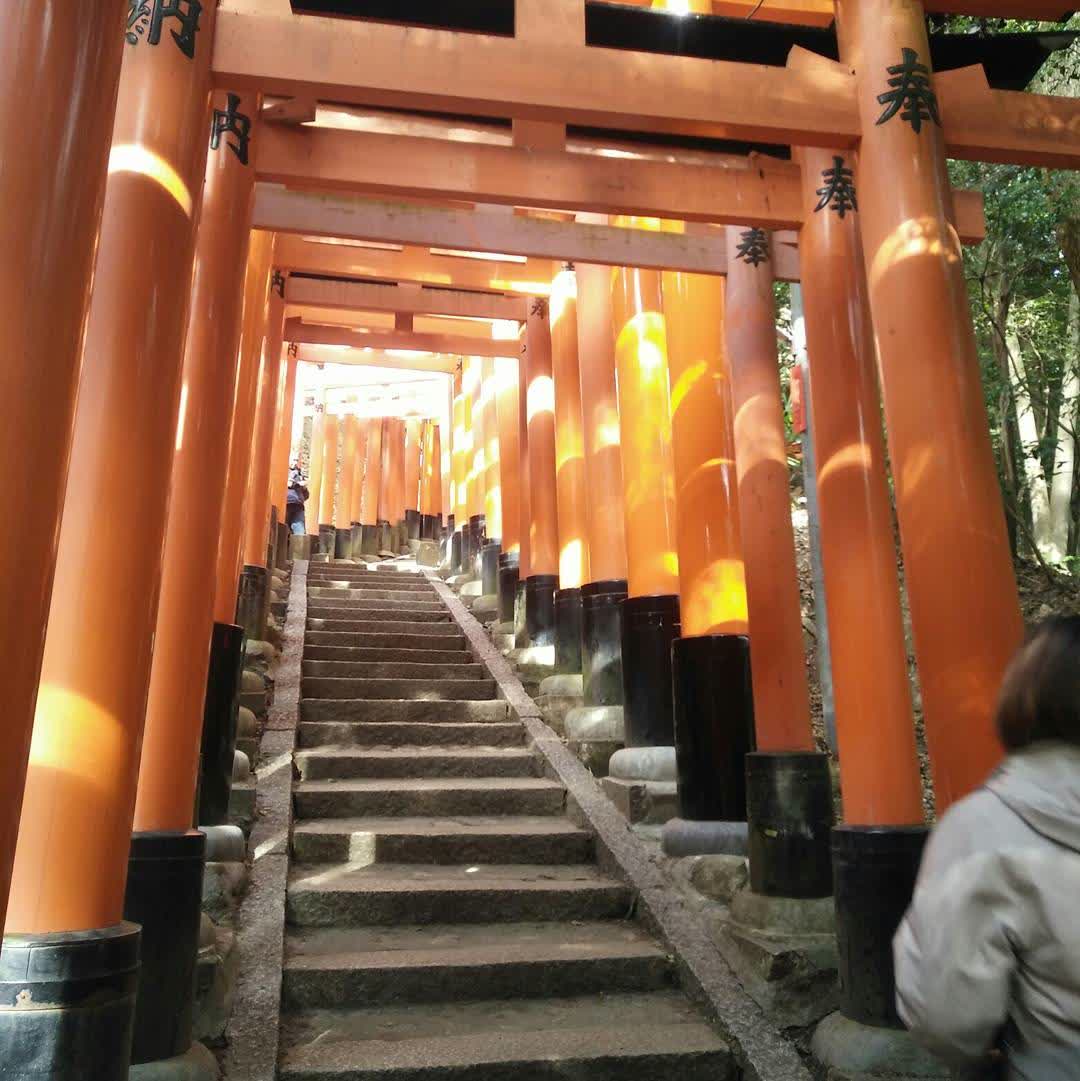伏見稻荷大社 | 去趣 chicTrip