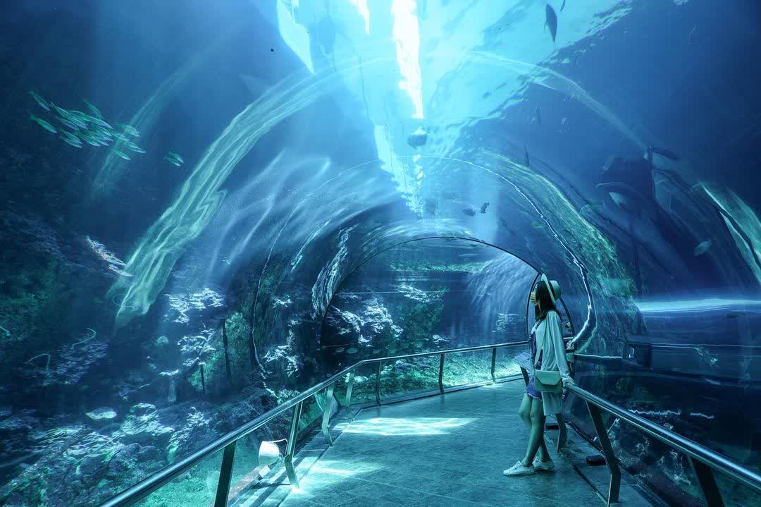 國立海洋生物博物館 | 去趣 chicTrip