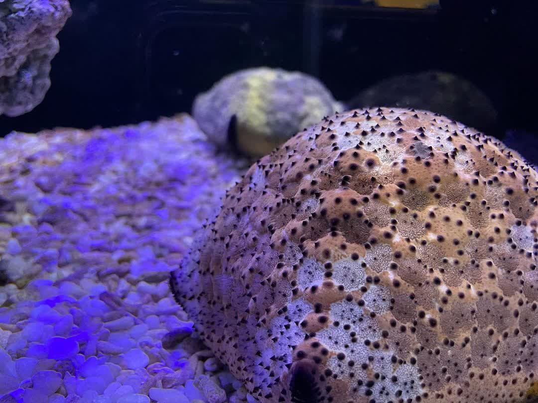 金車生技水產養殖研發中心 | 去趣 chicTrip