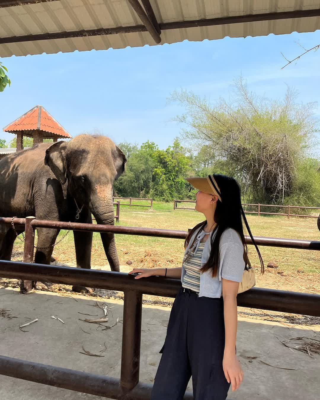Safari Park Kanchanaburi | 去趣 chicTrip