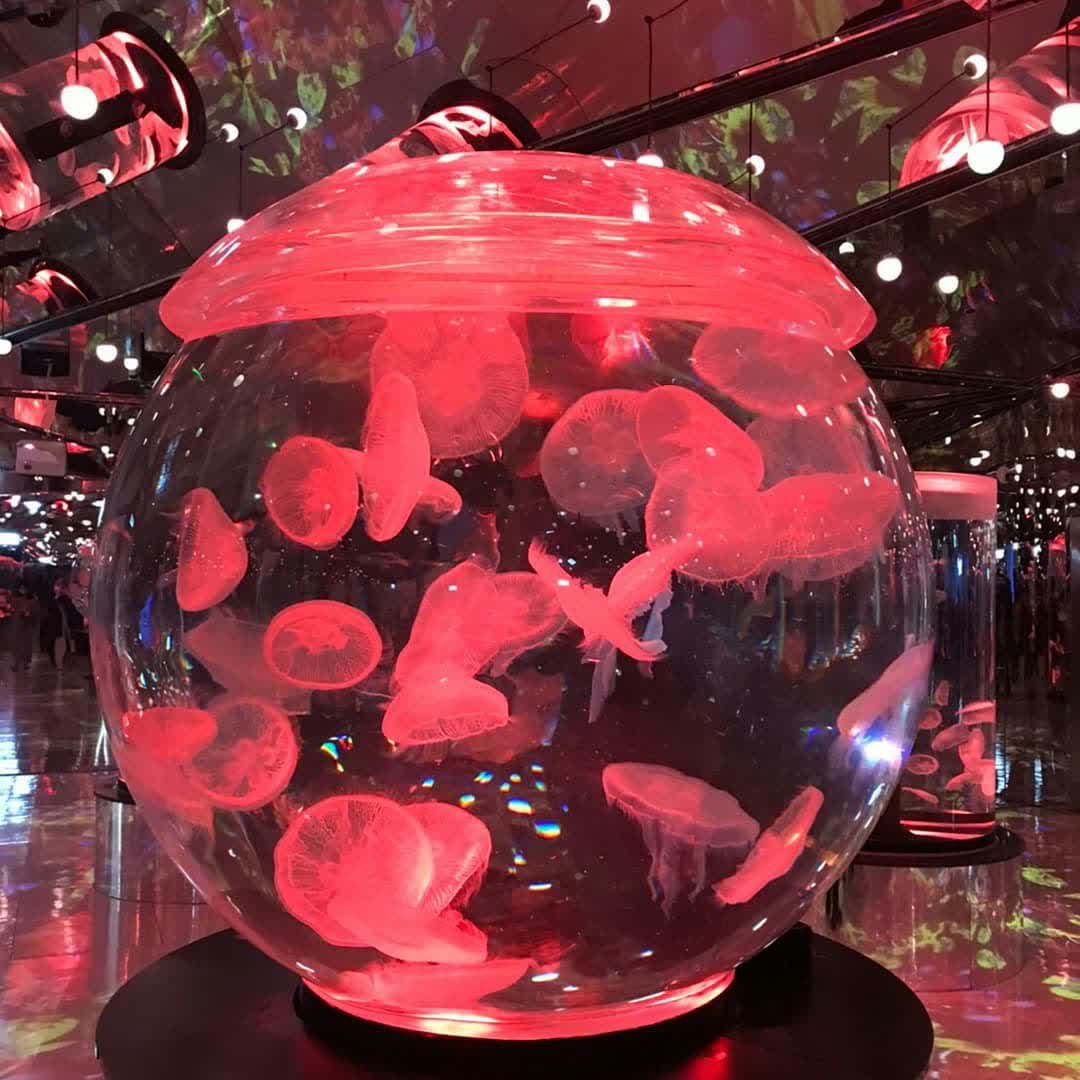 Xpark 水族館 | 去趣 chicTrip