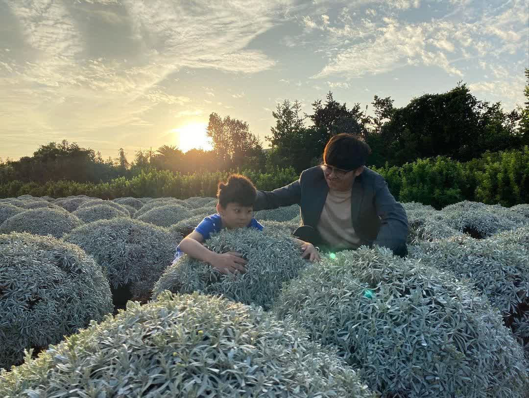 彰化田尾波波草 | 去趣 chicTrip