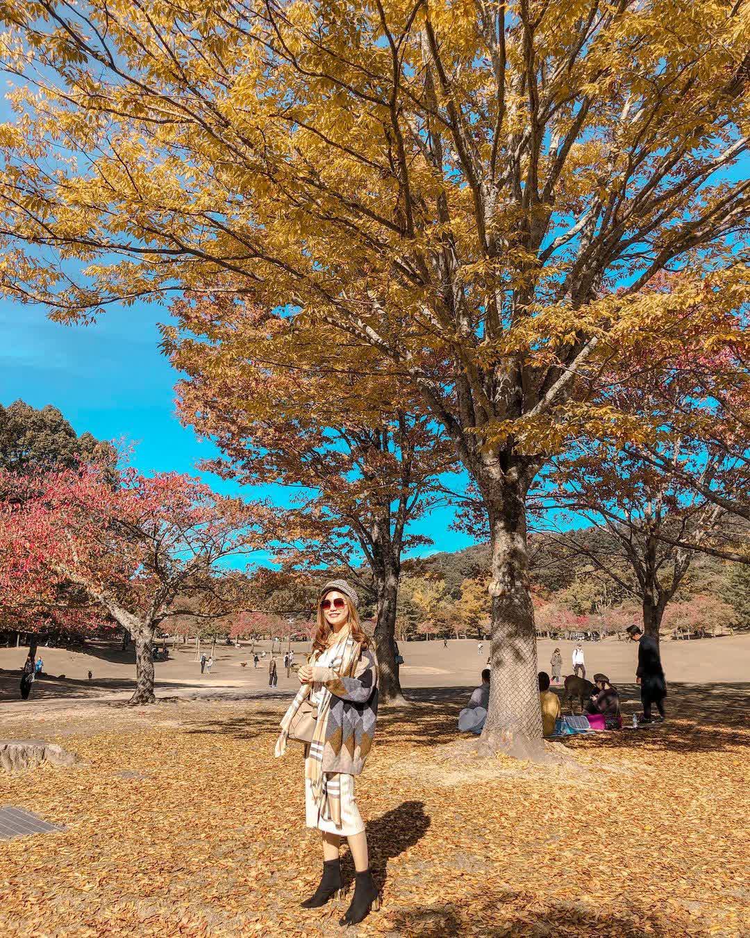 奈良公園 | 去趣 chicTrip