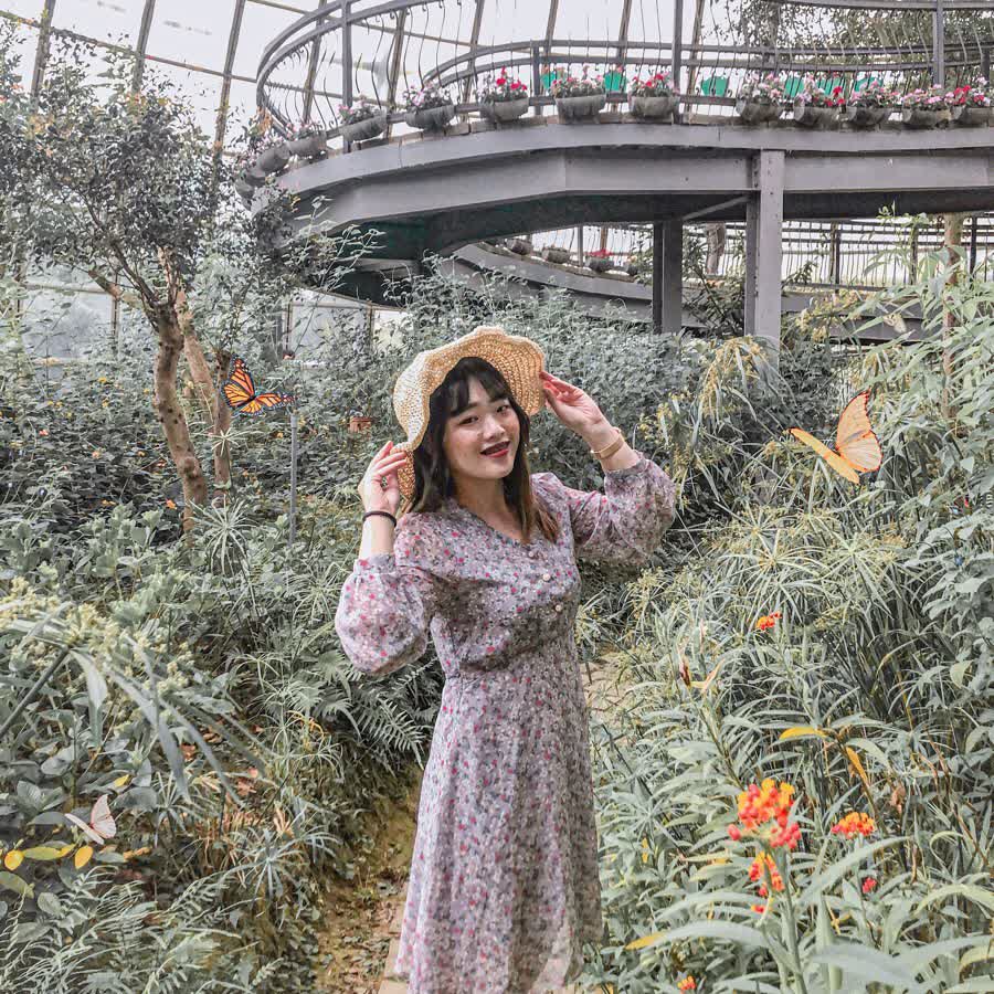 嘉大昆蟲館 | 去趣 chicTrip