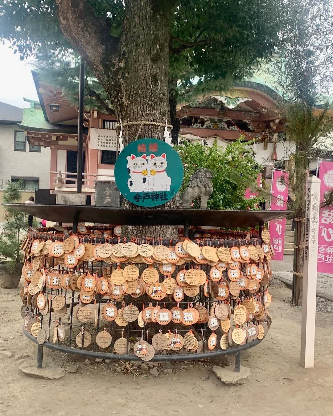 今戶神社 | 去趣 chicTrip