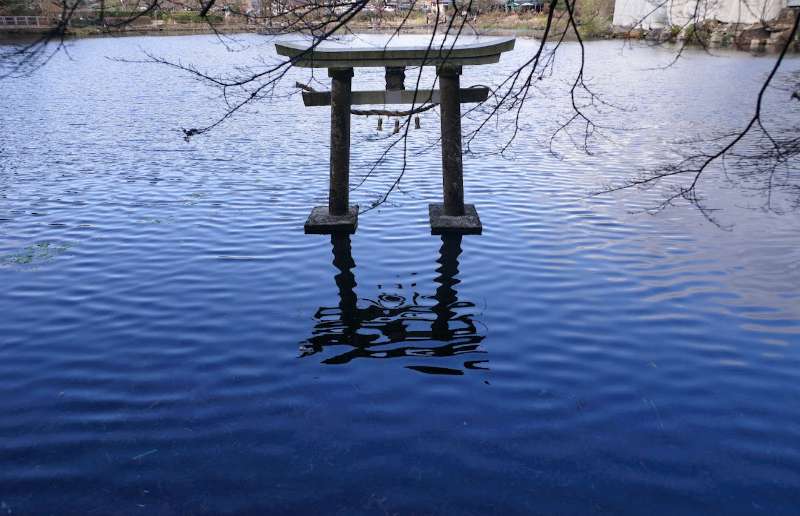 水上鳥居(天祖神社) | 去趣 chicTrip