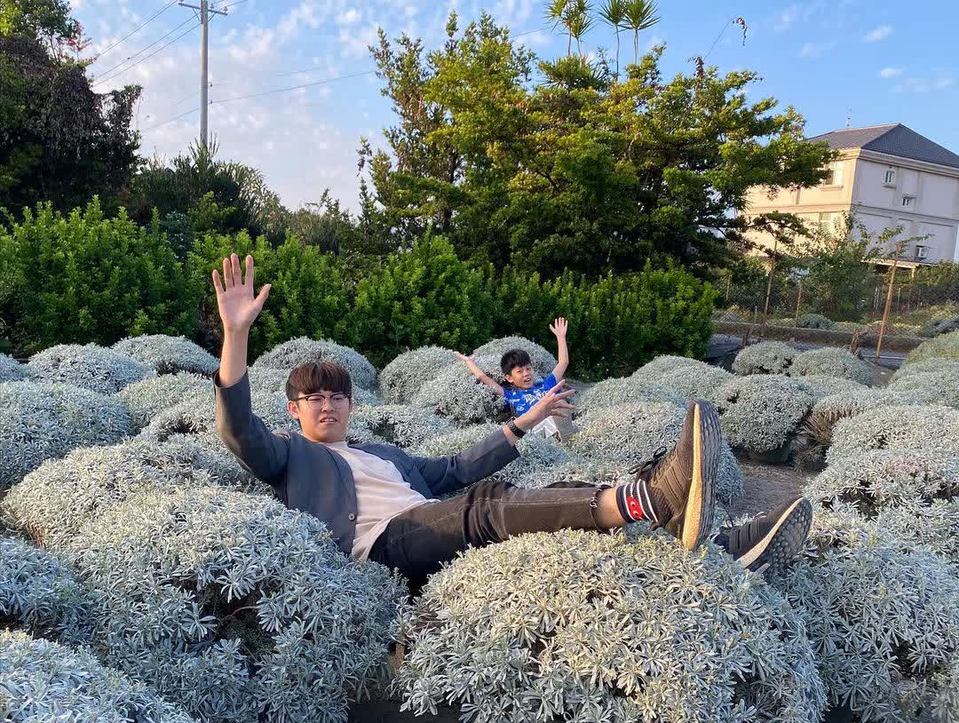 彰化田尾波波草 | 去趣 chicTrip