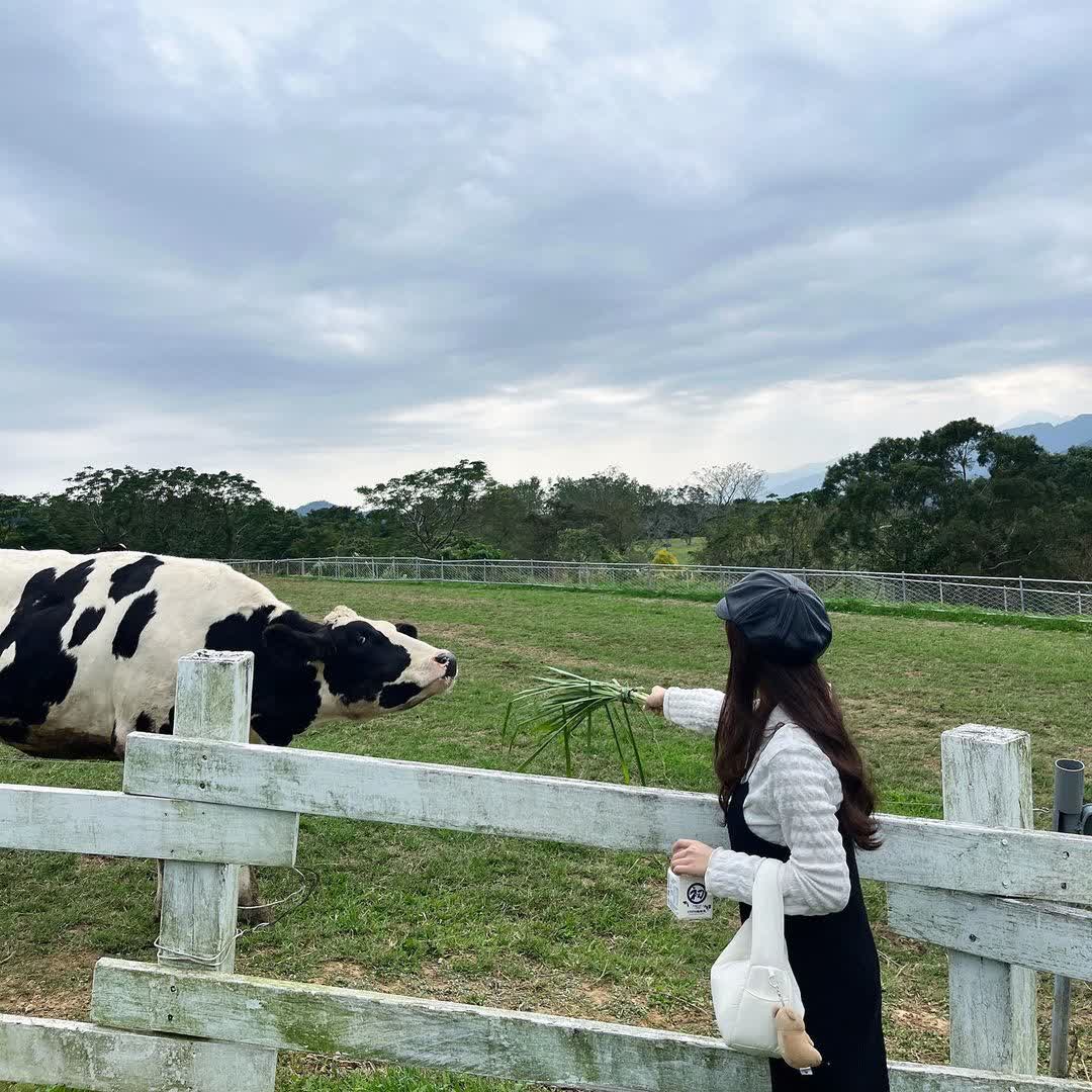 初鹿牧場 | 去趣 chicTrip