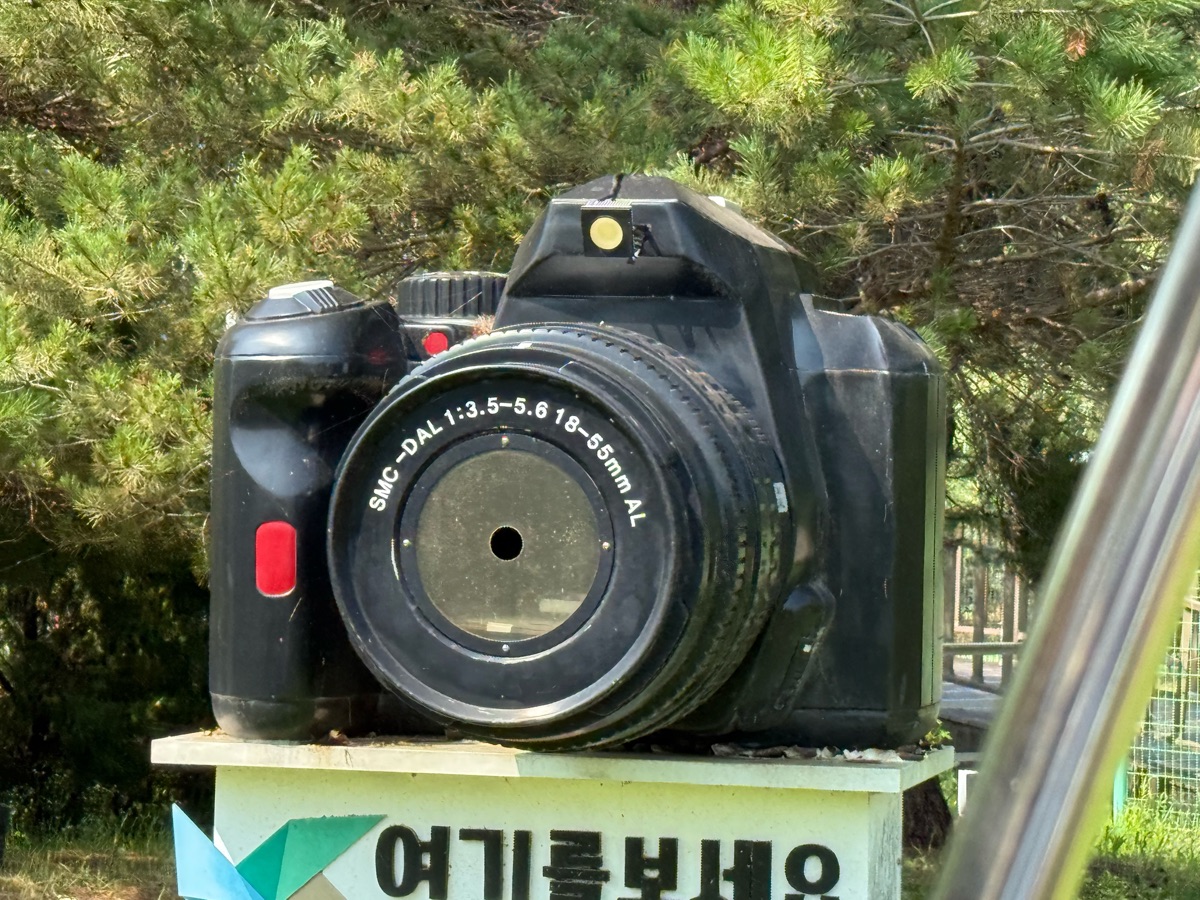 義王鐵道自行車 | 去趣 chicTrip