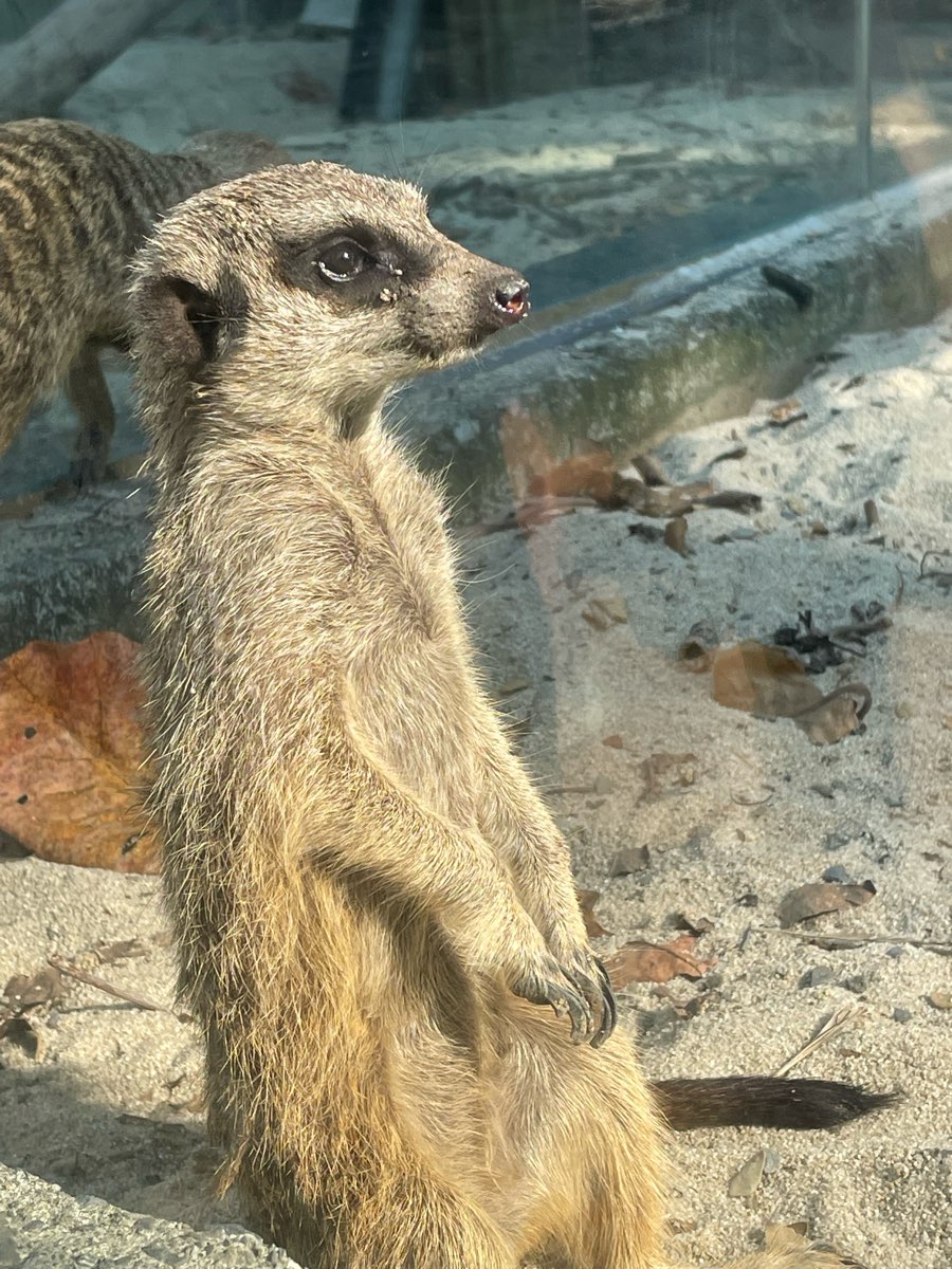 壽山動物園 | 去趣 chicTrip