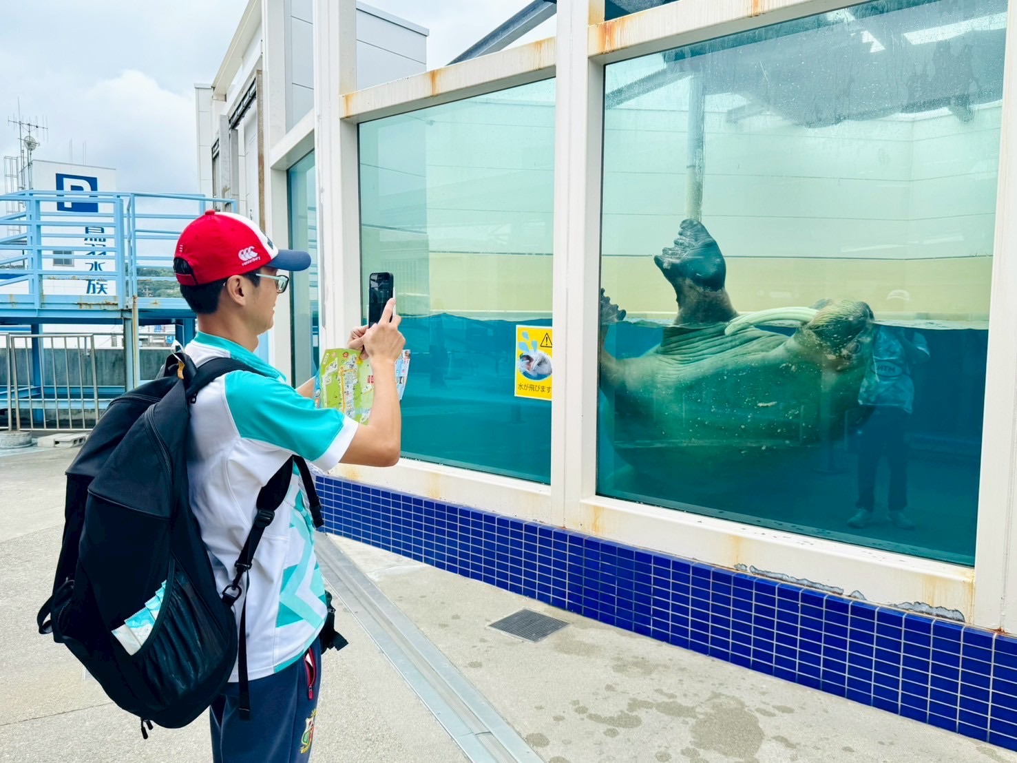鳥羽水族館 | 去趣 chicTrip