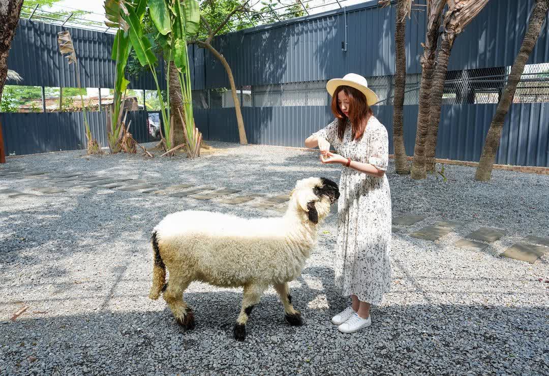 淨園農場 | 去趣 chicTrip